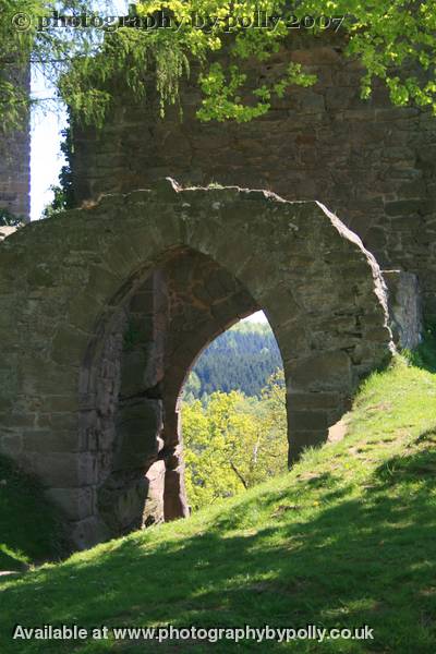 Viewage