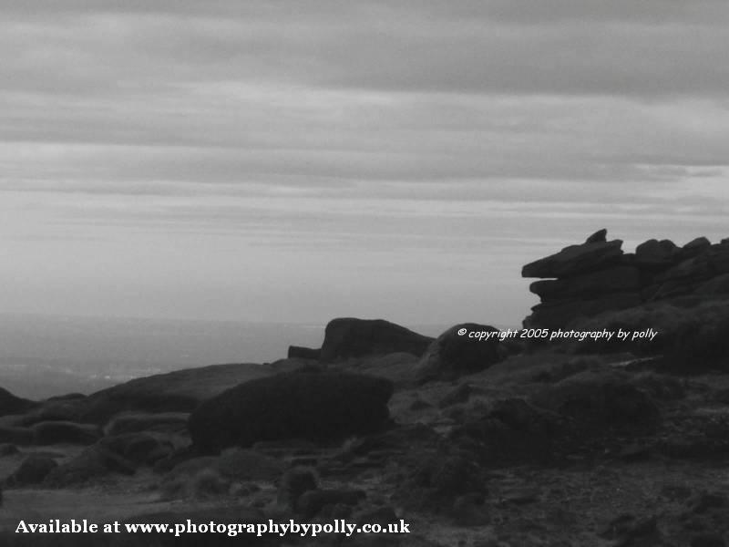 Dog Rock BW