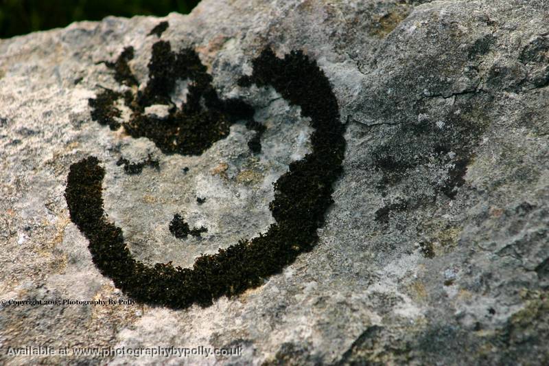 Winking Cowboy