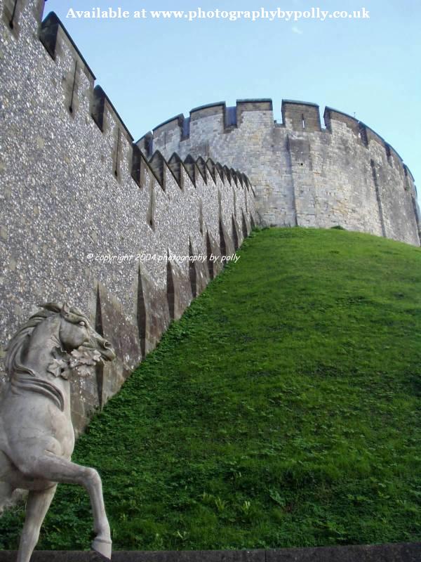 Guarding Horse