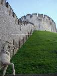 Guarding Horse