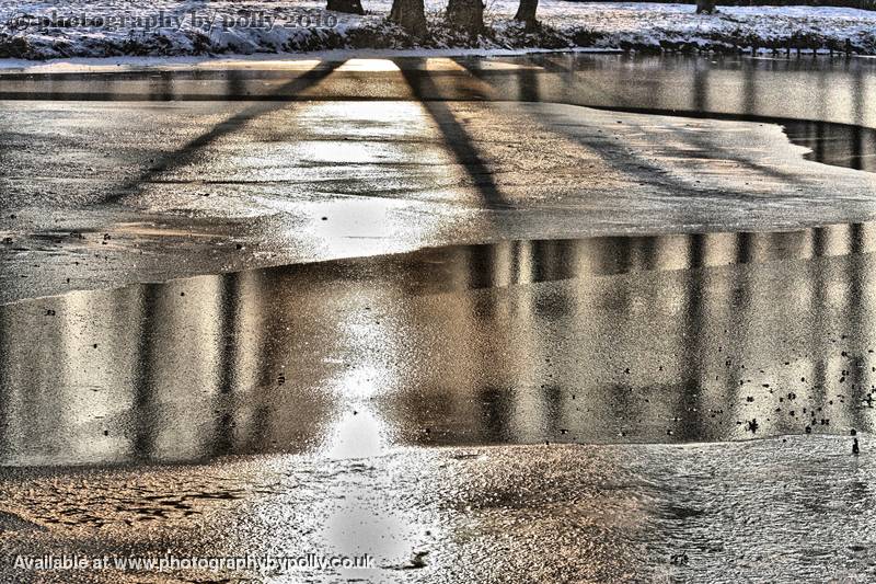 Auburn Snow