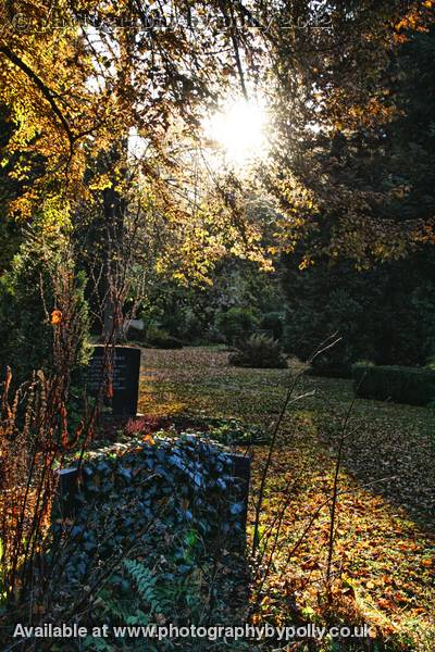 Cemetary