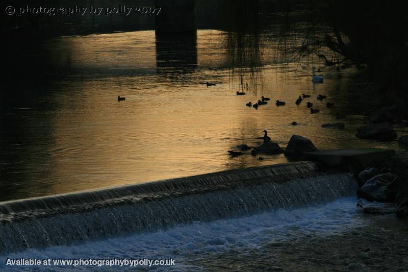 Evening Waters