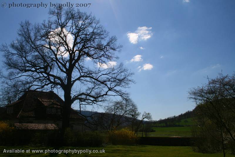 House In The Country