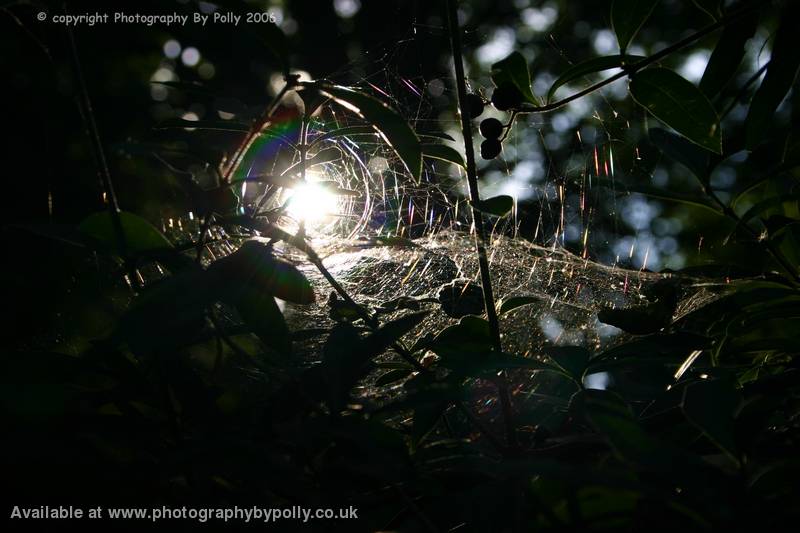 Spindle Light