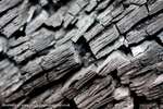 Charcoal