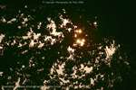 Twinkle Bright
