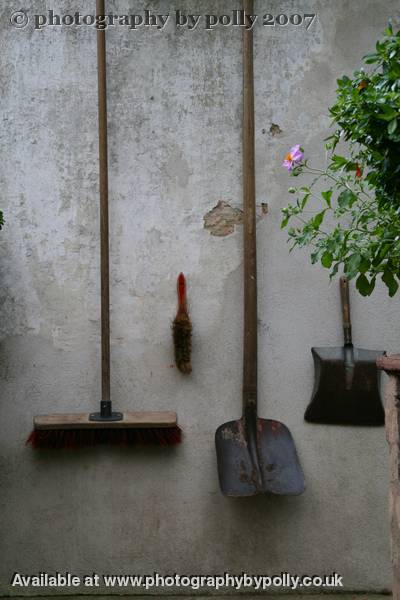 Tidy Garden