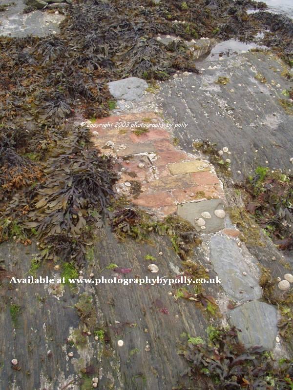 Beach Tiles