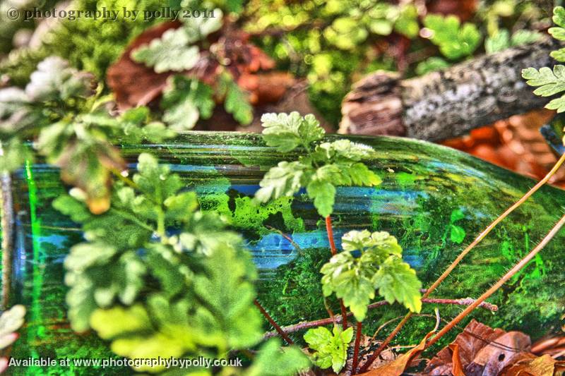 Bottle World