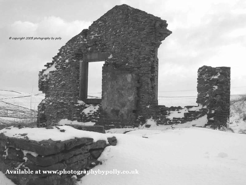 Carbrook Snow