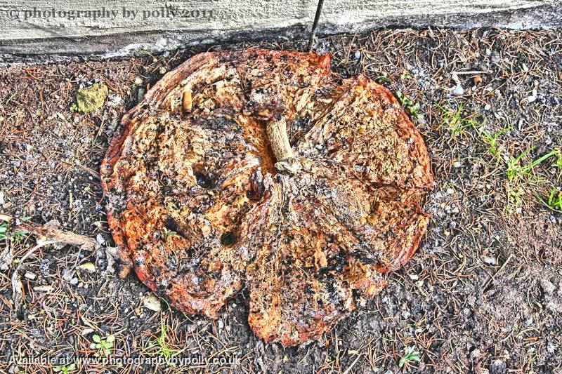 Deflated Pumpkin