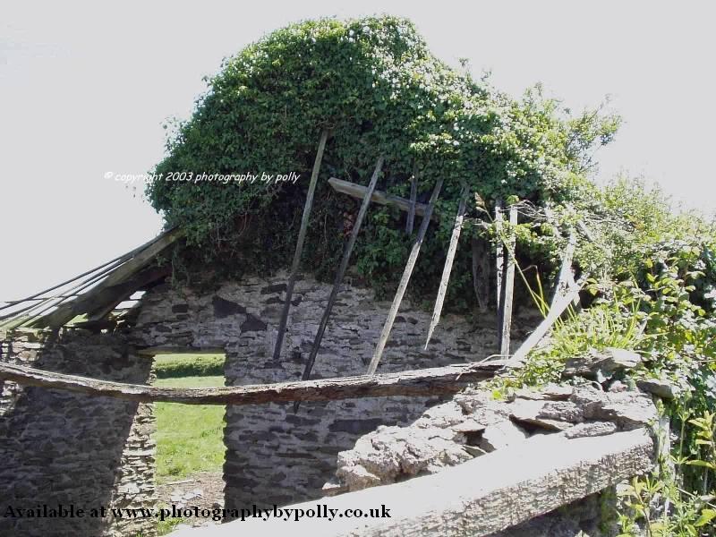 Devon Cottage