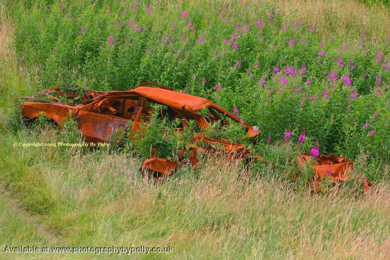 Flower Car