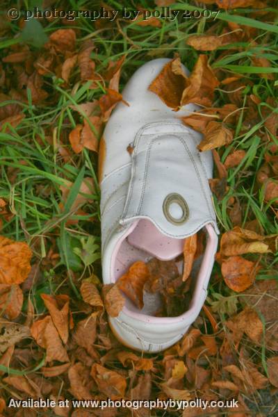 Hiking Shoe