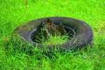 Field Tyre