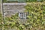 Grate