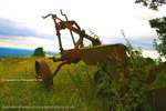 We Plough The Land
