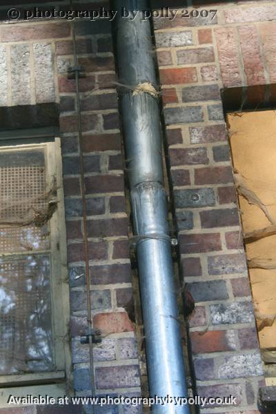 Webbed Pipe