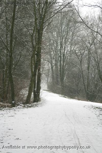 Blizzard Path