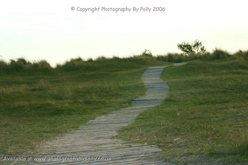 Boardwalk Wander