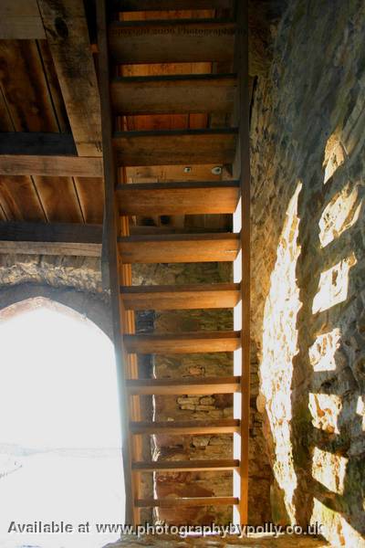 Castle Ladder