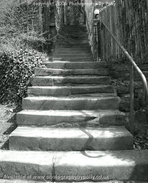 Cottage Steps