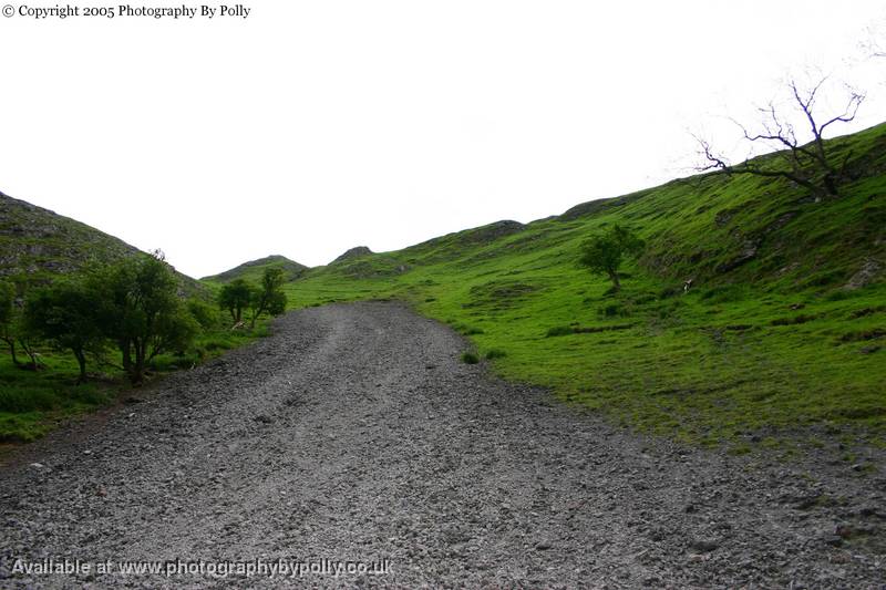 Gravel Walk