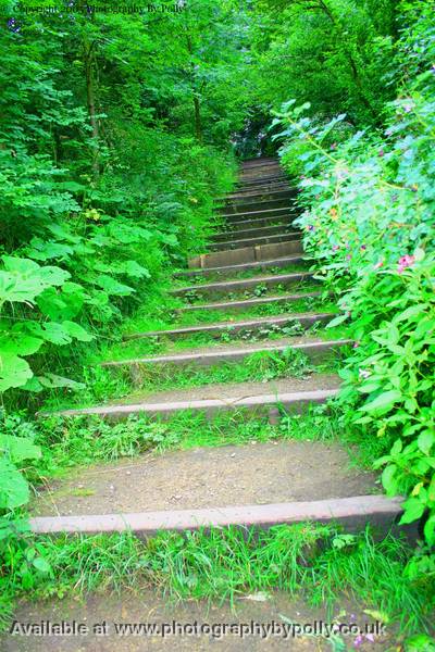 Greenway Steps