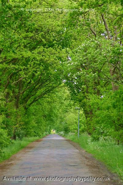 Greenways Walk