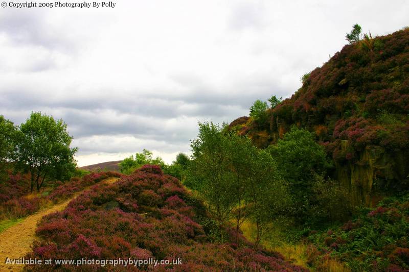 Heather Climb