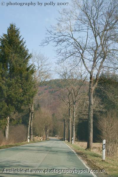 Into The Hills