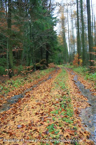 Leaf Slurry