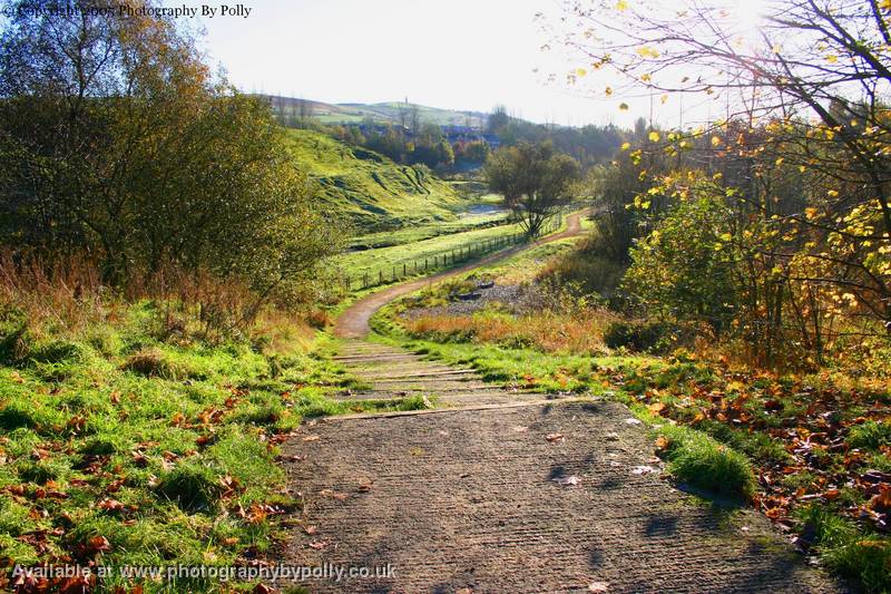 Medlock Path