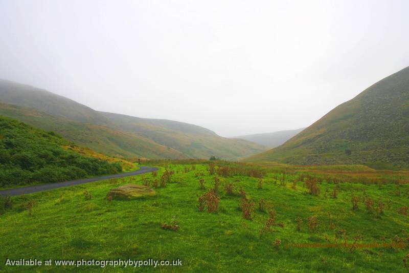 Misty Dove Stone 2