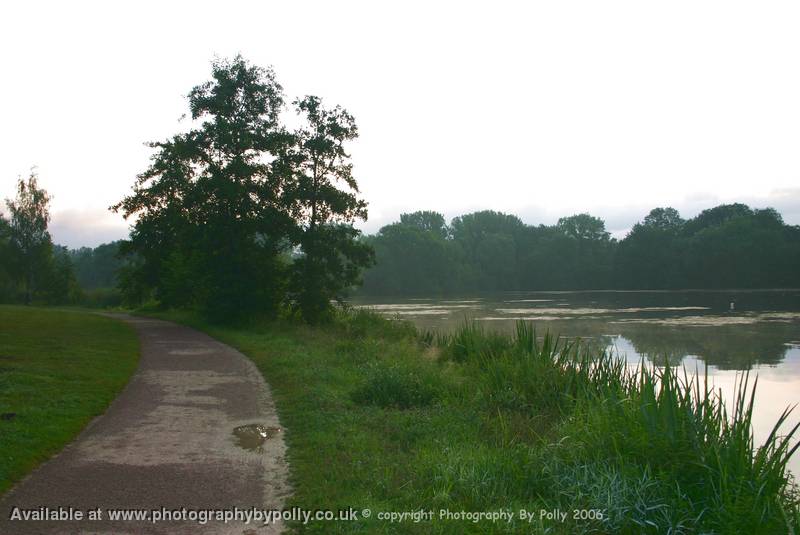 Misty Morning