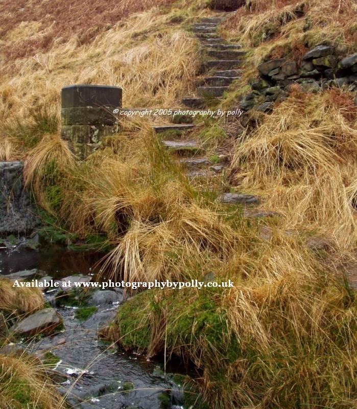 Moor Steps