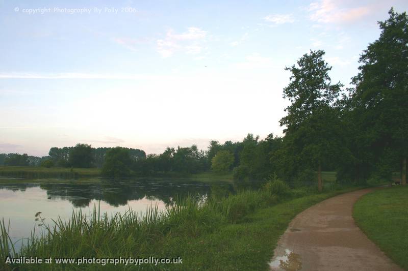 Morning Stroll