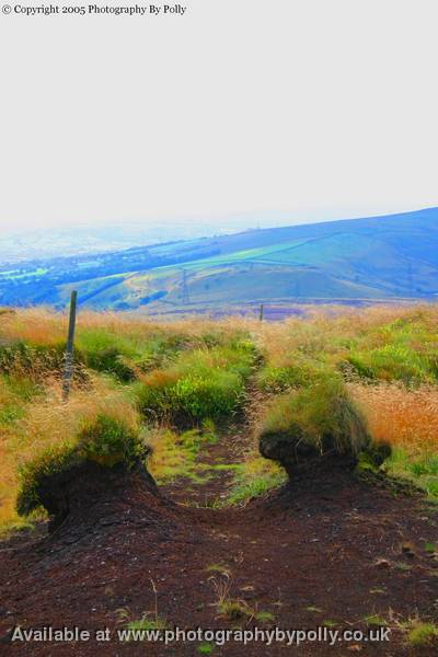 Peat Path