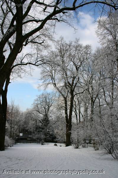 Sky And Snow