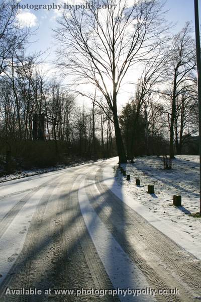 Snow Shadows