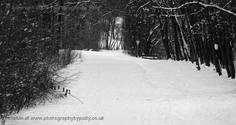 Snow Soldier Alley