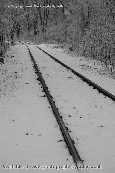 Snowy Bend