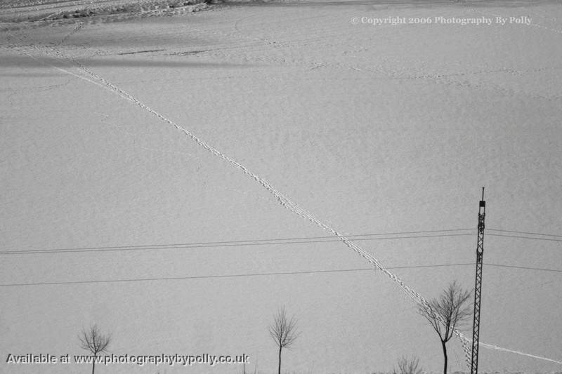 Snowy Footsteps