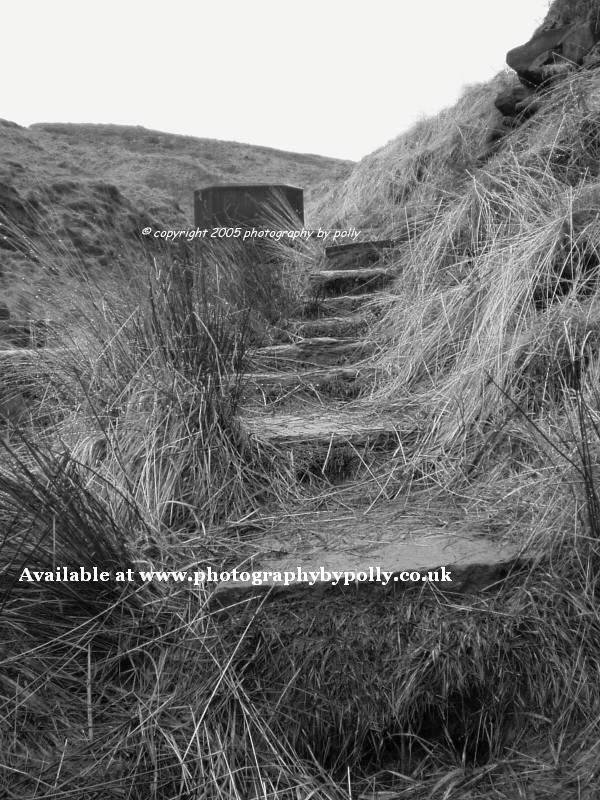 Straw Steps