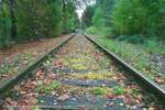 Leaves On The Line