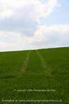 Onwards And Upwards