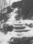 Snow Steps