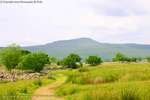 Tarn Walk